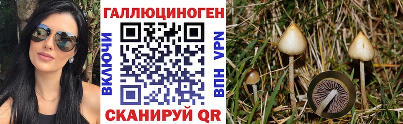 Галлюциногенные грибы мицелий  кракен ССЫЛКА  Грязовец 